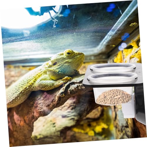 Supvox Reptilien Futternapf mit Saugnapf Doppelte Futter und Wasserschale Einfach zu Montieren Stabiler Terrarienzubehör für Schildkröten Eidechsen und Spinnen Bpa Frei Kunststoff Supvox Reptilien Futternapf mit Saugnapf Doppelte Futter und Wasserschale Einfach zu Montieren Stabiler Terrarienzubehör für Schildkröten Eidechsen und Spinnen Bpa Frei Kunststoff von Supvox