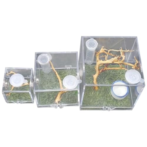 Supvox 3 Stücke Spinne Lebensraum Box Luftbefeuchter Insekten Fütterung Loch Acryl Springenden Spinne Zucht Fall von Supvox