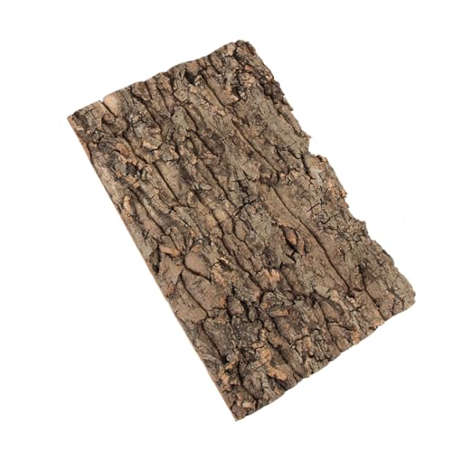 Supvox Terrarium Dekoration aus Champagnerbaumrinde für Reptilien Kletterplattform für Schlangen Eidechsen und Spinnen Pflegeleicht und Fördert Gesundes Verhalten im Terrarium Supvox Terrarium Dekoration aus Champagnerbaumrinde für Reptilien Kletterplattform für Schlangen Eidechsen und Spinnen Pflegeleicht und Fördert Gesundes Verhalten im Terrarium von Supvox