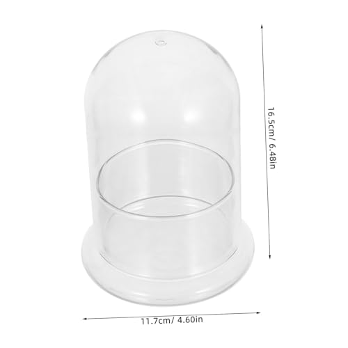 Supvox Transparentes Hydroponischer Desktop-glasplanter für DIY-mikrolandschaften Moos Kleine Pflanzen Platzsparend für Innenraumbegrünung von Supvox