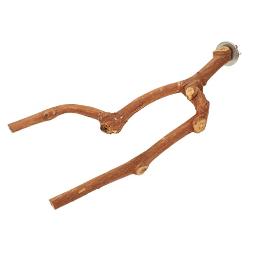 Supvox Papagei Rebe Barsch Vogel Zubehör Sittich Käfig Spielzeug Vogel Krallen Schleifen Stange Vogel Barsch Supvox Papagei Rebe Barsch Vogel Zubehör Sittich Käfig Spielzeug Vogel Krallen Schleifen Stange Vogel Barsch von Supvox