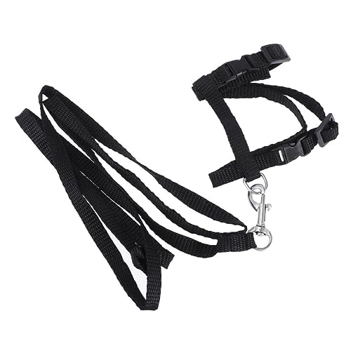 Supvox Verstellbare Katzenleine Haustier-zugseil Schwarzes Halsband für Bewegung und Reisen mit Ihrem Katzenfreund von Supvox
