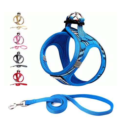 Suredoo Hundegeschirr Kleine Hunde mit Leine, Anti Zug Geschirr Reflektierend Atmungsaktiv Brustgeschirr, Welpengeschirr für Kleine Hunde (Blau Kariert, XXS, Brust: 22-24cm) von Suredoo