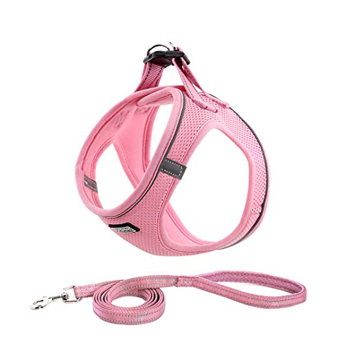 Suredoo Hundegeschirr mit Leine Anti Zug Geschirr Reflektierend Brustgeschirr für Kleine Hunde, Haustiere, Welpen, Katzen (Rosa, S) von Suredoo