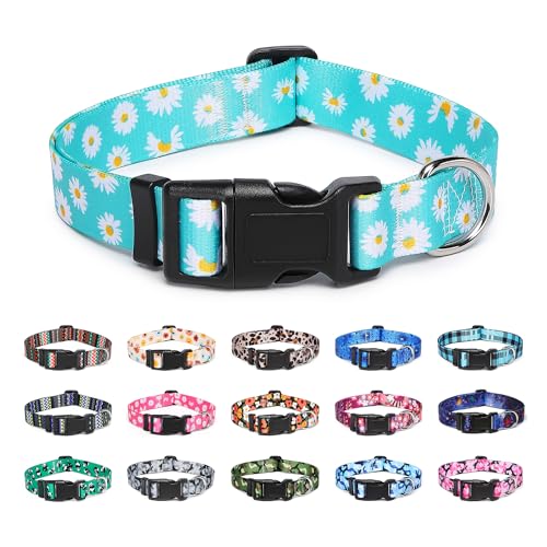 Suredoo Hundehalsband Verstellbares, Weich & Komfort Nylon Hunde Halsband für Kleine Mittlere Große Hunde Welpen Katzen (L, Blaue Gänseblümchen) von Suredoo