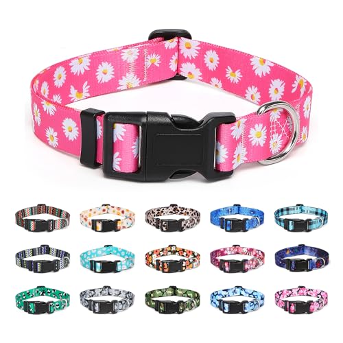 Suredoo Hundehalsband Verstellbares, Weich & Komfort Nylon Hunde Halsband für Kleine Mittlere Große Hunde Welpen Katzen (L, Rosa Gänseblümchen) von Suredoo