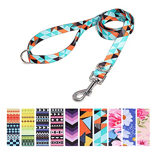 Suredoo Hundeleine Verstellbare, Weich & Komfort Nylon Haustier Trainingsleine mit Doppel-D-Ringfür Kleine Mittlere Große Hunde, 120cmx2cm (Geometrie) von Suredoo