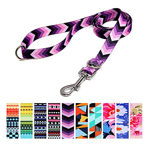 Suredoo Hundeleine Verstellbare, Weich & Komfort Nylon Haustier Trainingsleine mit Doppel-D-Ringfür Kleine Mittlere Große Hunde, 120cmx2cm (Pfeil) von Suredoo