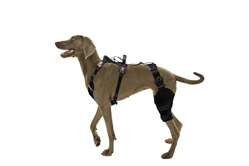 SurfPaws Professionelle Hunde-Kniebandage mit Geschirr, ultimative Gelenkunterstützung und Mobilitätshilfe bei Kreuzband-, CCL- und Gelenkverletzungen, Größe S SurfPaws Professionelle Hunde-Kniebandage mit Geschirr, ultimative Gelenkunterstützung und Mobilitätshilfe bei Kreuzband-, CCL- und Gelenkverletzungen, Größe S von SurfPaws