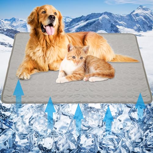 Kühlbett-Matten für Hunde, selbstkühlend, für Hunde und Katzen, für drinnen und draußen, Grau, Größe L Kühlbett-Matten für Hunde, selbstkühlend, für Hunde und Katzen, für drinnen und draußen, Grau, Größe L von Suroomy