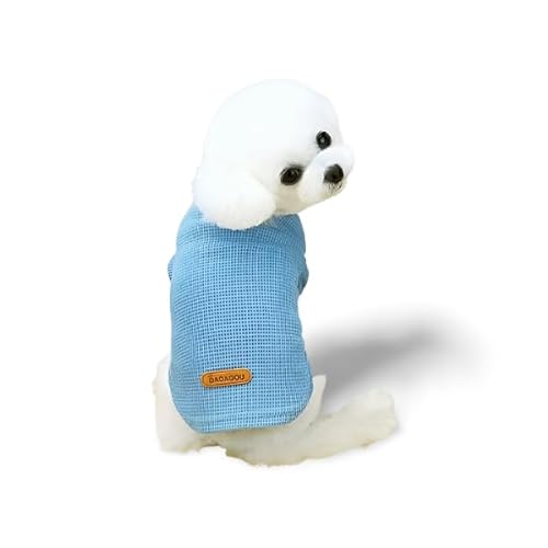 Surtep Baumwoll-Sweatshirt für Hund DadaGou - Blau von Surtep