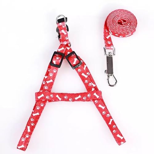 Surtep Geschirr mit Leine für Kätzchen 110/1cm Surtep Geschirr mit Leine für Kätzchen 110/1cm von Surtep
