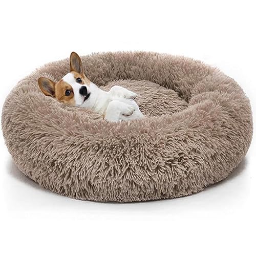Surtep Haustierbed Jenny Champagne Surtep Haustierbed Jenny Champagne von Surtep