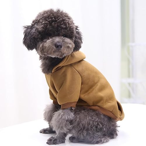 Surtep Poly Sweatshirt für Hund Braun von Surtep