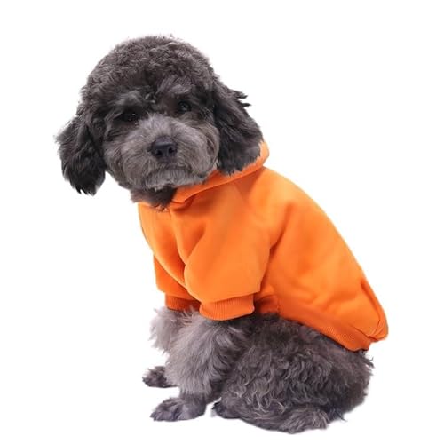 Surtep Poly Sweatshirt für Hund Orange von Surtep