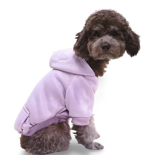 Surtep Poly Sweatshirt für Hund Violett von Surtep