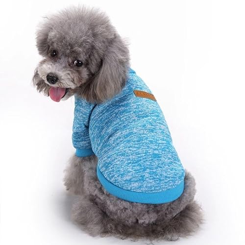 Surtep Sweatshirt für Hund - Blau von Surtep