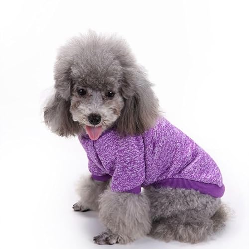 Surtep Sweatshirt für Hund - Violett von Surtep