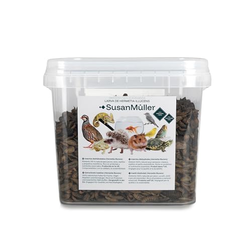 Susan Müller Hermetia illucens Larven getrocknet, natürliches Protein für Reptilien, Geflügel und Fische, hohe Nährdichte, ohne Zusatzstoffe, recycelbare Verpackung, 300 g von Susan Müller