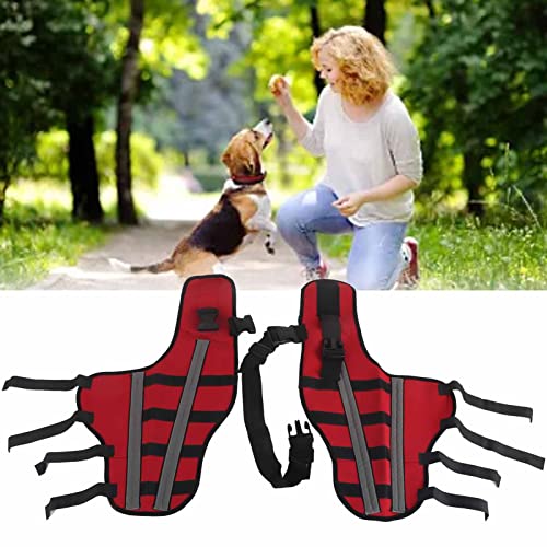SustVita Hunde-Kniebandage, verstellbare Hundebeinbandage mit elastischen, stoßfesten Haustier-Knieschützern und reflektierenden Streifen für Hunde und Haustiere (L) von SustVita