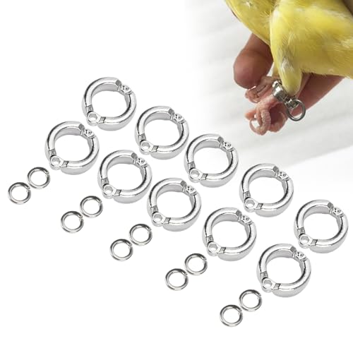SustVita Outdoor Vogelaktivität Accessoires - 10pcs Metall -Papageien -Fußklammern und Vogelbeinringe zum Training, Öffnen von Clip -Accessoires für Lovebirds und Tauben (6) von SustVita