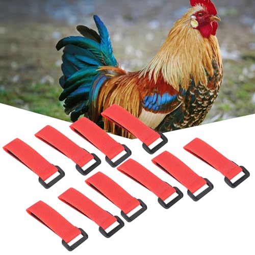 Sustvita 5Bag Antihook Rooster Nylonkragen, 10pcs Lärm - Liberty Neckgürtel verhindert, DASS Hühner störende Nachbarn krähen Sustvita 5Bag Antihook Rooster Nylonkragen, 10pcs Lärm - Liberty Neckgürtel verhindert, DASS Hühner störende Nachbarn krähen von SustVita