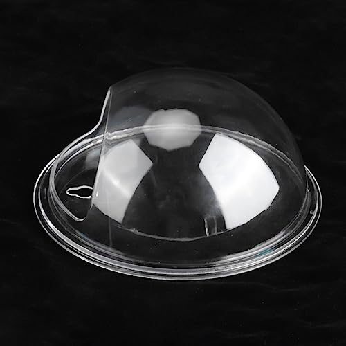 Sustvita Acryltransparente Fischschale, Mini -wandmontierte Hängefischtank für Wasserpflanzen und Fisch, dekoratives Aquarium von SustVita