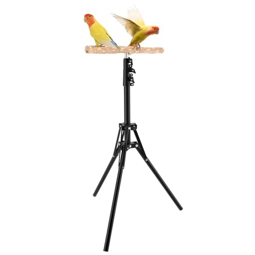 Holzvogelperch-Ständer 16-63 in Höhe Verstellbarer Papageien-Trainingsständer Papageistange für Innen- und Außenbereiche Holzvogelperch-Ständer 16-63 in Höhe Verstellbarer Papageien-Trainingsständer Papageistange für Innen- und Außenbereiche von Sutowe