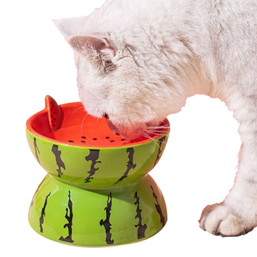 Fruit Cat Bowls Elevated,Raised Cat Food Bowls for Indoor Cats, Cat Feeding Bowls Tilted Whisker Friendly, Lifted Cat Dish-Kiwi-1 (Watermelon 1) von Suuim