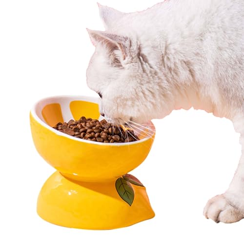 Fruit Cat Bowls Elevated,Raised Cat Food Bowls for Indoor Cats, Cat Feeding Bowls Tilted Whisker Friendly, Lifted Cat Dish-Kiwi-1 (orange 1) von Suuim