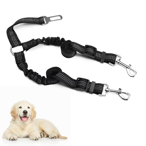 Anschnallgurt Hund Auto,Suuwwn Hundegurt Auto Elastischer Doppelköpfig Hundegurt Auto Hunde Verstellbarer reflektierender Sicherheitsgurt Hunde für Auto auf Reisen & Ausgehen Anschnallgurt Hund Auto,Suuwwn Hundegurt Auto Elastischer Doppelköpfig Hundegurt Auto Hunde Verstellbarer reflektierender Sicherheitsgurt Hunde für Auto auf Reisen & Ausgehen von Suuwwn