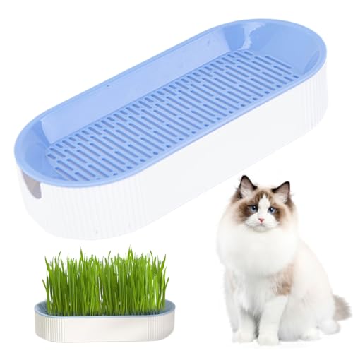 Katzengras -Pflanzer zweischicht Abnehmbarer Hydroponic Cat Grass Pflanzer S. 8.3x3.6x1.8in Home Cattery Cat Grass Wachstumskatze -Vorräte, Keine Samen. von Suxdlan
