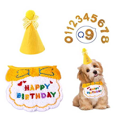Hund Geburtstag Party Hut Lätzchen Set, Katze Geburtstag Party Supplies, Welpen Bandana Schal und Hut für Kleintiere Katze Hund (Gelb) von Suxgumoe