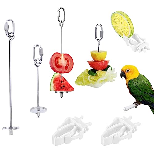 Vogelspieß Futterhalter, 2 Stück Edelstahl Vogelfutterhalter & 2 Stück Kunststoff Papagei Obst Gemüse Clips, Vogelkäfig Futterspender Futtersuche Spielzeug Hängende Futterspender für Papageien Kakadu Vogelspieß Futterhalter, 2 Stück Edelstahl Vogelfutterhalter & 2 Stück Kunststoff Papagei Obst Gemüse Clips, Vogelkäfig Futterspender Futtersuche Spielzeug Hängende Futterspender für Papageien Kakadu von Suxgumoe
