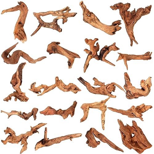 Suzile 20 Stück kleine natürliche Korallentreibholz für Aquarien, 10,2 - 17,8 cm, Aquarium, Treibholz, verschiedene Formen, Reptilien-Terrarium, Dekoration, Treibholzzweig für Aquarien, Suzile 20 Stück kleine natürliche Korallentreibholz für Aquarien, 10,2 - 17,8 cm, Aquarium, Treibholz, verschiedene Formen, Reptilien-Terrarium, Dekoration, Treibholzzweig für Aquarien, von Suzile