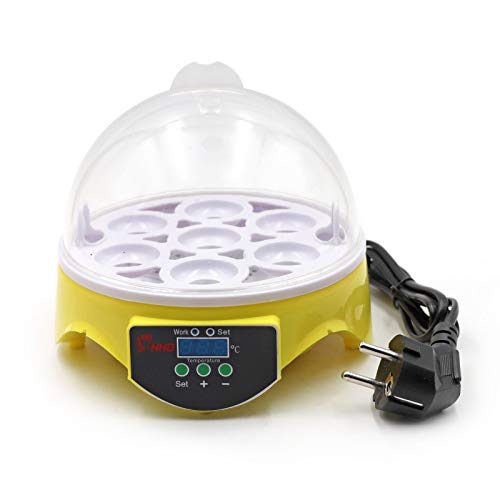 Svauoumu Inkubator Hühner, 7 kleine Eier Brutkasten, Geflügelbrutkasten, intelligente Digitale Temperaturregelung, Huhn Ente, Wachteleier, EU Stecker von Svauoumu