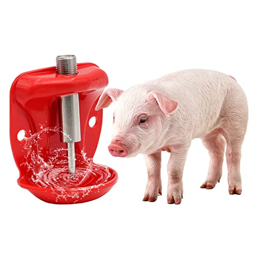 Kaninchentränke Edelstahl Schweinetränke, verdickter Hamster-Trinknapf für Schweine, Hamster, Kaninchen, Meerschweinchen, Kätzchen Tränkeeinrichtung (rot) von Svauoumu