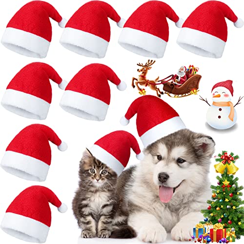 8 Stück Haustier Weihnachtsmütze Hund Katze Weihnachtsmütze Haustier Kostüme Hut Urlaub Party Niedliche Kostüme für Welpen Kätzchen kleine Hunde und Katzen (einfaches Muster) von Svee