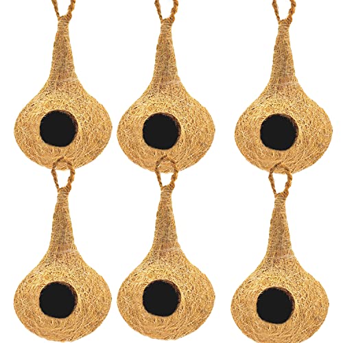 Natürliches Bhaya Vogelnest für Käfige und Zucht für alle mittelgroßen, kleinen Vögel mit selbstklebenden Haken zum Aufhängen, 6 Stück von Swadeshi Desire