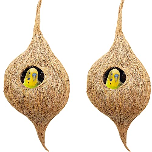 Natürliches Vogelnest für Käfige und Zucht für alle mittelgroßen, kleinen Vögel mit selbstklebenden Haken zum Aufhängen von Swadeshi Desire