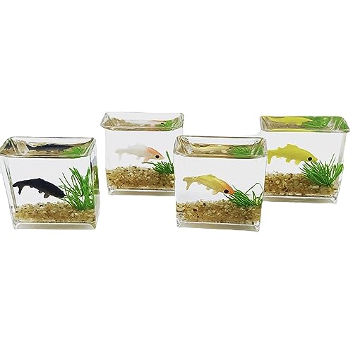 Winziges Glasfisch-Aquarium, zartes Modell, Zubehör für Puppenhaus-Sammler, Miniatur-Szene, hochwertiges Glasmaterial von Sweeaau