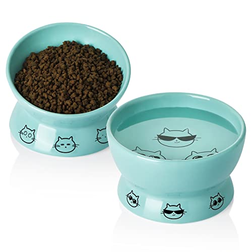 SWEEJAR Erhöhte Katzennäpfe Set, gekippter Futternapf und Tiefer Wassernapf, Stressfreie erhöhte Katzenfutternäpfe, Schützen Sie die Wirbelsäule der Katze, 2er Set (Türkis) von Sweejar Home