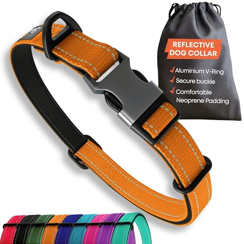 Orange Hundehalsband Kleine Hunde - Stark Reflektierend Verstellbar Gepolstert Hundehalsbänder - Metallschnalle, Aluminium V-Ring, Hundesicherheit von Sweetie