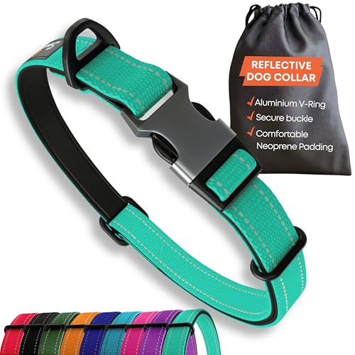 Sweetie Starkes Hundehalsband für große Hunde – reflektierend, verstellbar und gepolstert mit Aluminium-V-Ring für Sicherheit von Sweetie