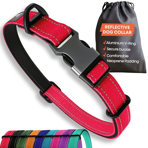 Starkes Hundehalsband Mittlere Hunde - Rot Reflektierend Verstellbar Gepolstert Hundehalsbänder - Aluminium V-Ring Hund Sicherheit von Sweetie