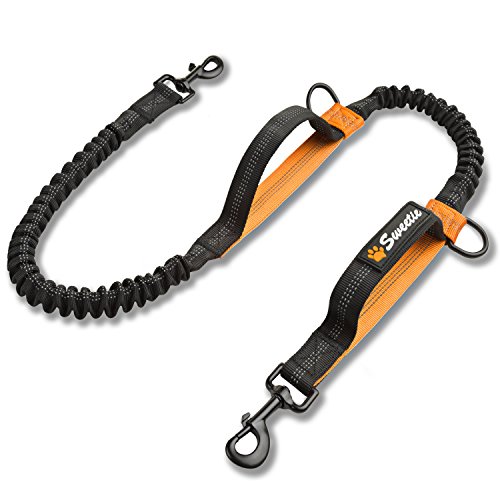 Sweetie Bungee-Hundeleinenverlängerung – freihändige zweite Hundeleine (nur Leine, kein komplettes Set) zum Laufen und Spazierengehen Sweetie Bungee-Hundeleinenverlängerung – freihändige zweite Hundeleine (nur Leine, kein komplettes Set) zum Laufen und Spazierengehen von Sweetie