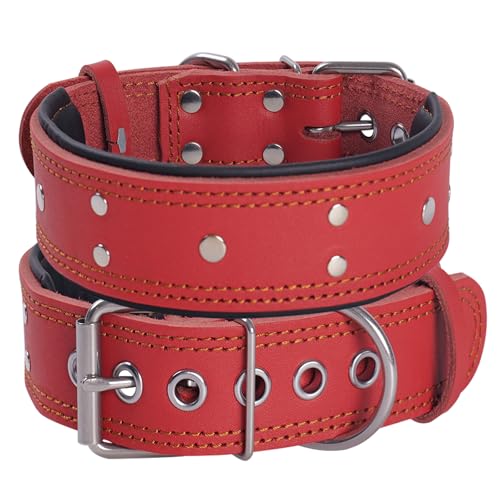 Hundehalsband aus Leder, Extra Dick und 5cm Breit Gepolstert, Weiches Echtes Leder, Schwere Leistung für Mittelgroße und Extra Große Hunderassen (Rot,M) von SweetyMooMoo
