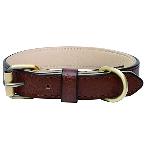 Verstellbarer Echthaustierleder-Hundehalsband mit Polsterung, am besten geeignet für kleine, mittlere und große Hunderrassen (Größe S, Braun) von SweetyMooMoo