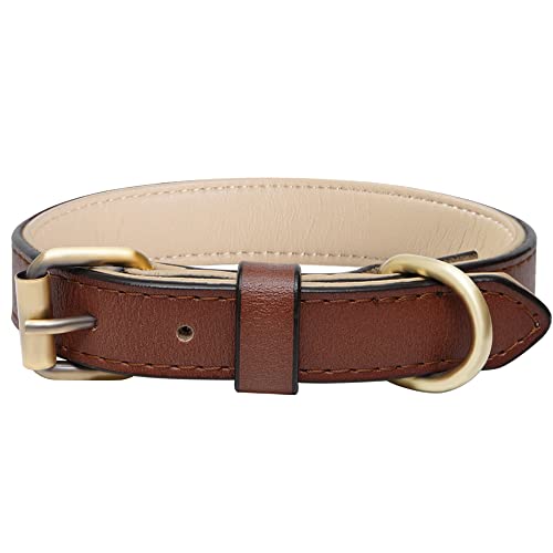 Verstellbarer Echthaustierleder-Hundehalsband mit Polsterung, am besten geeignet für kleine, mittlere und große Hunderrassen (Größe M, Braun) von SweetyMooMoo