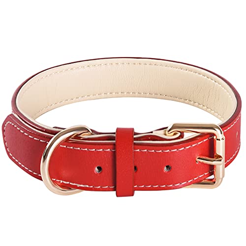 Verstellbarer Echthaustierleder-Hundehalsband mit Polsterung, am besten geeignet für kleine, mittlere und große Hunderrassen (Größe L, Rot) Verstellbarer Echthaustierleder-Hundehalsband mit Polsterung, am besten geeignet für kleine, mittlere und große Hunderrassen (Größe L, Rot) von SweetyMooMoo